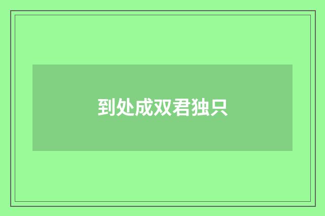 到处成双君独只