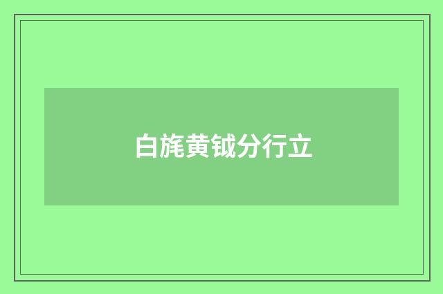 白旄黄钺分行立