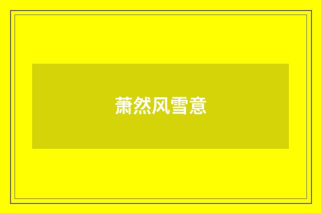 萧然风雪意