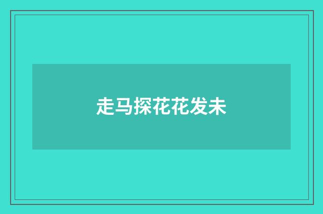 走马探花花发未