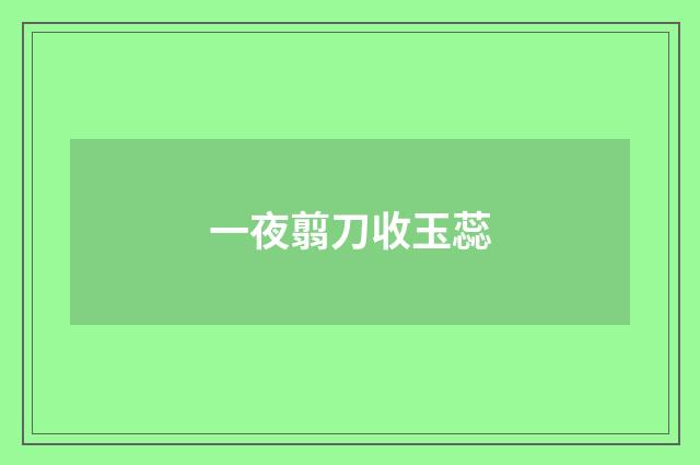 一夜翦刀收玉蕊