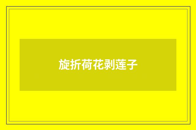 旋折荷花剥莲子