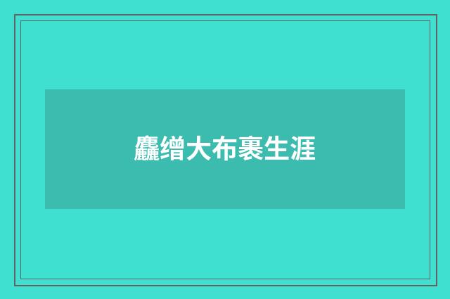 麤缯大布裹生涯