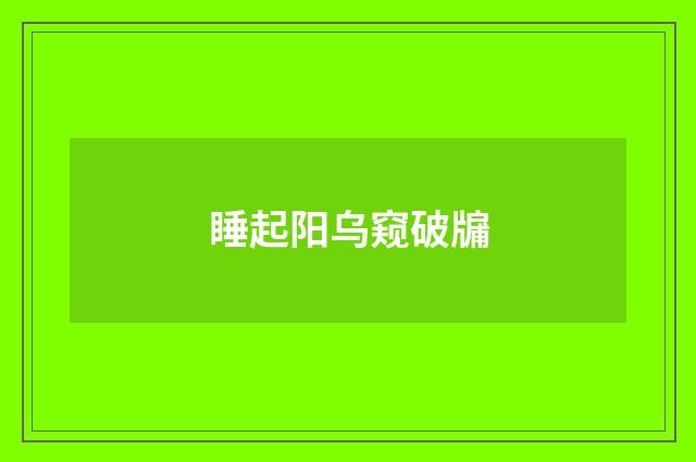 睡起阳乌窥破牖