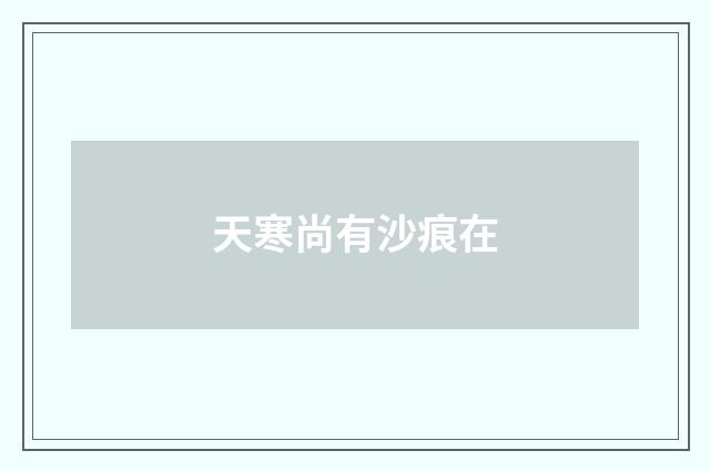 天寒尚有沙痕在
