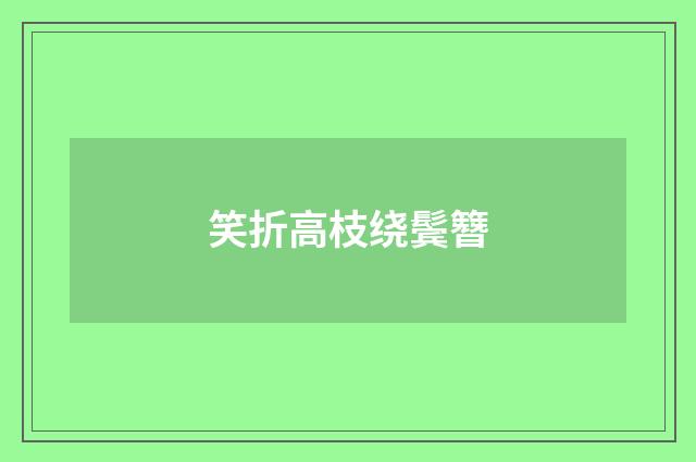 笑折高枝绕鬓簪