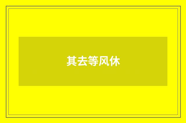 其去等风休