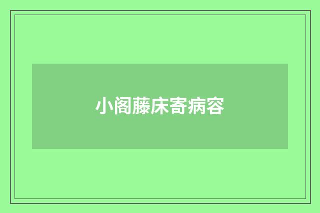 小阁藤床寄病容