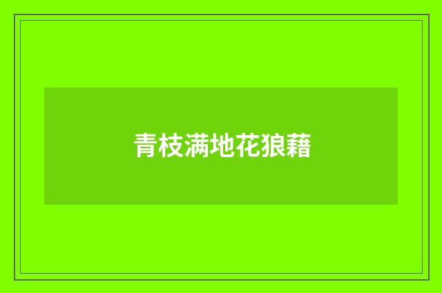 青枝满地花狼藉