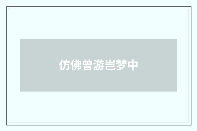 仿佛曾游岂梦中