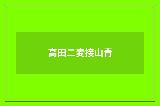 高田二麦接山青