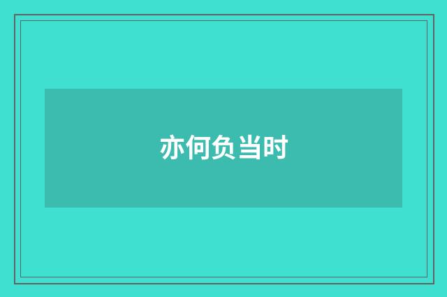 亦何负当时