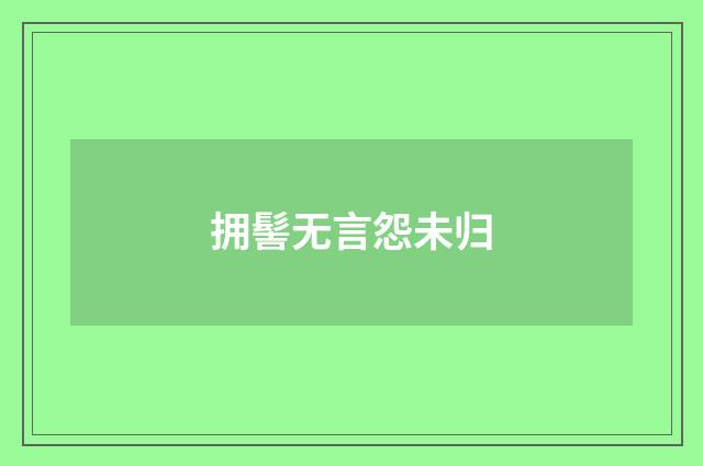 拥髻无言怨未归