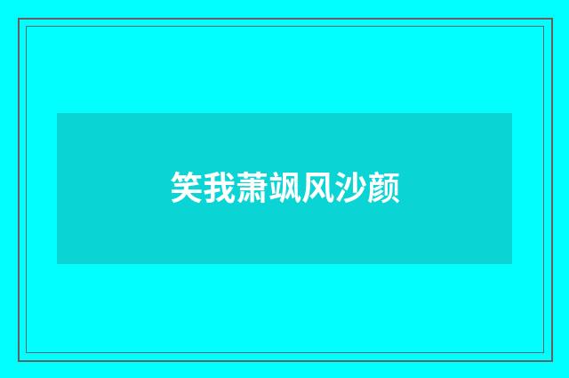 笑我萧飒风沙颜