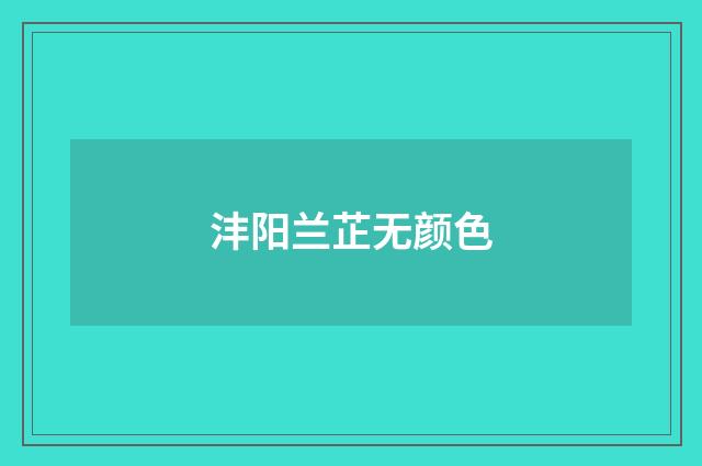 沣阳兰芷无颜色