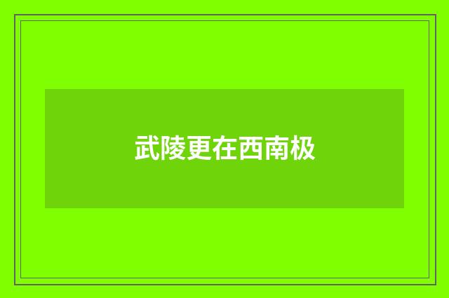 武陵更在西南极
