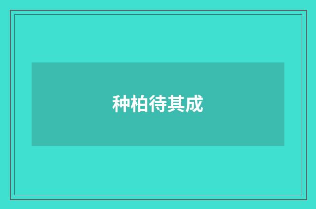 种柏待其成