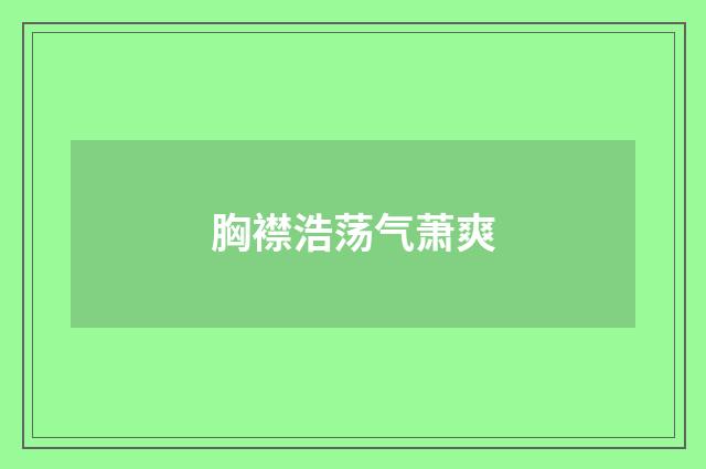 胸襟浩荡气萧爽