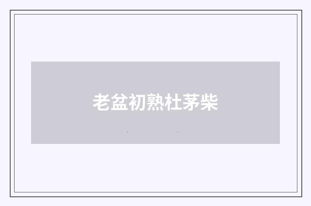 老盆初熟杜茅柴
