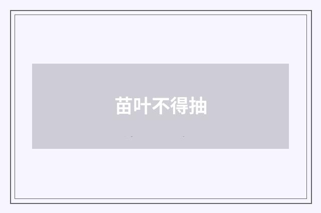 苗叶不得抽