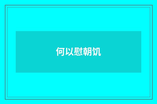 何以慰朝饥