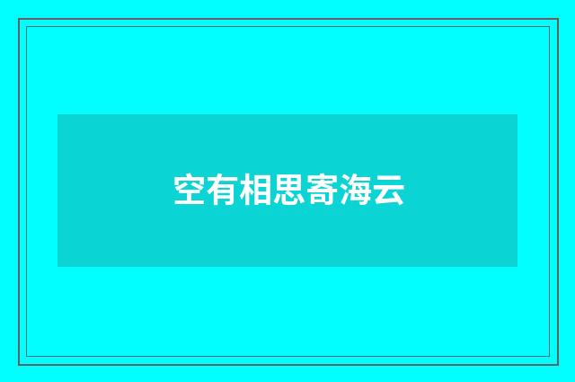 空有相思寄海云