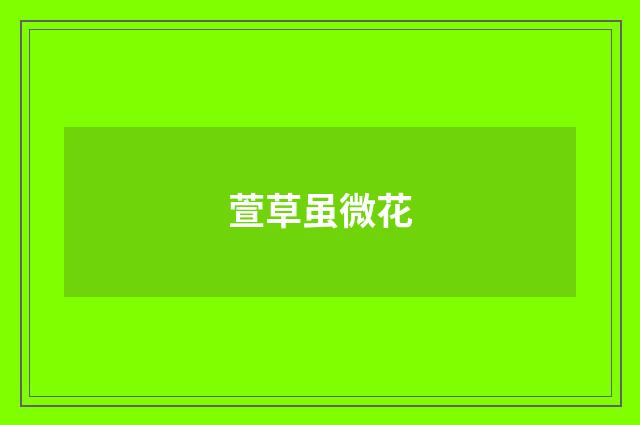 萱草虽微花