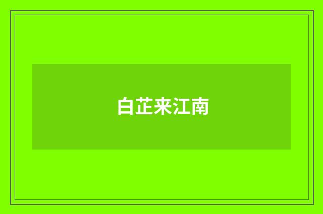 白芷来江南