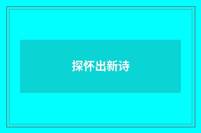 探怀出新诗