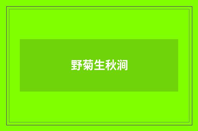 野菊生秋涧