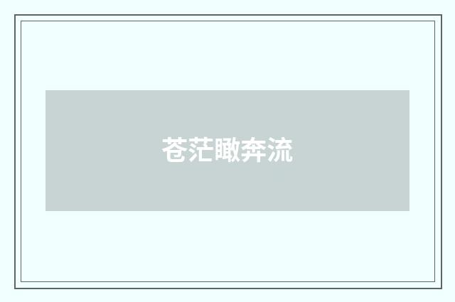 苍茫瞰奔流