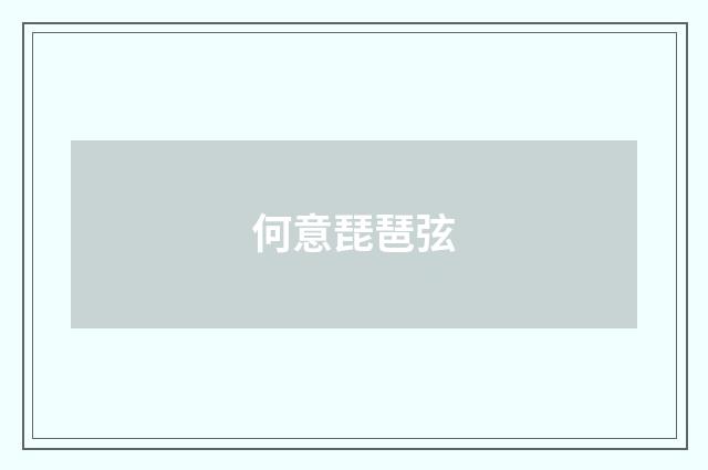 何意琵琶弦