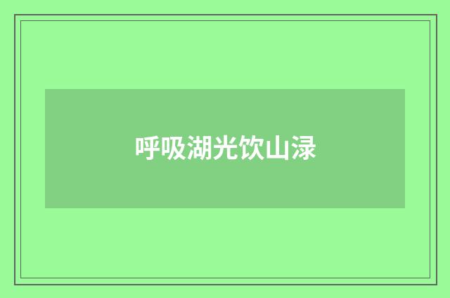 呼吸湖光饮山渌