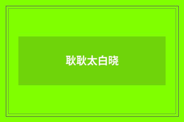 耿耿太白晓