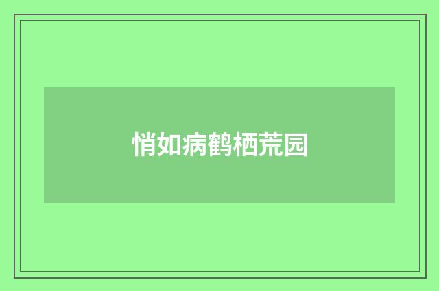 悄如病鹤栖荒园