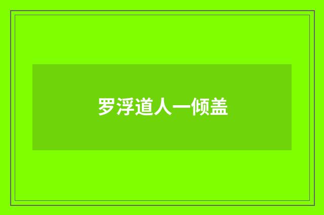 罗浮道人一倾盖