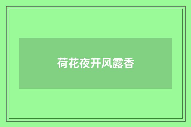 荷花夜开风露香