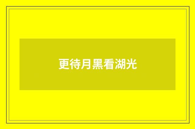 更待月黑看湖光