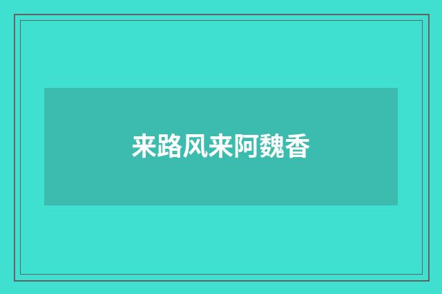来路风来阿魏香