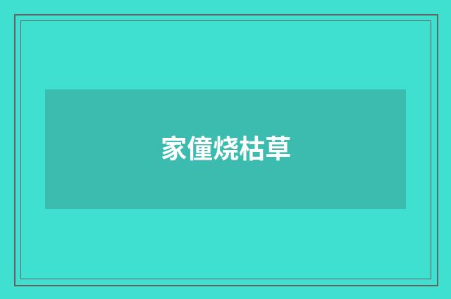 家僮烧枯草