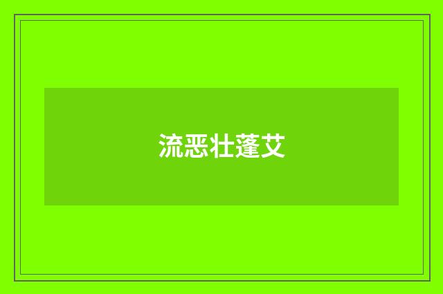 流恶壮蓬艾