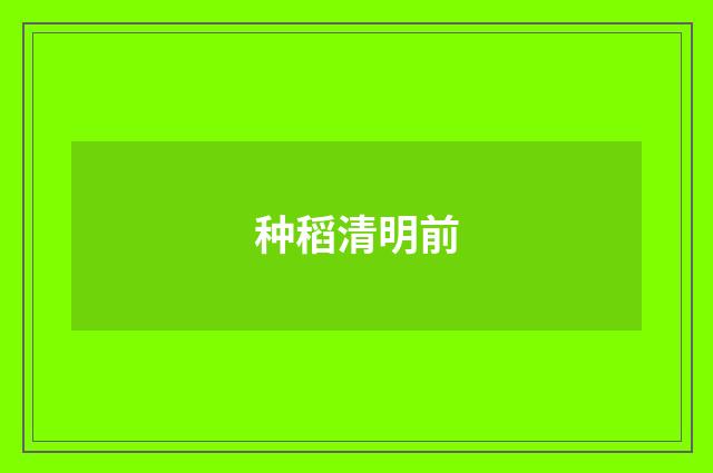 种稻清明前