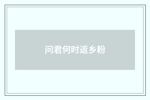 问君何时返乡粉