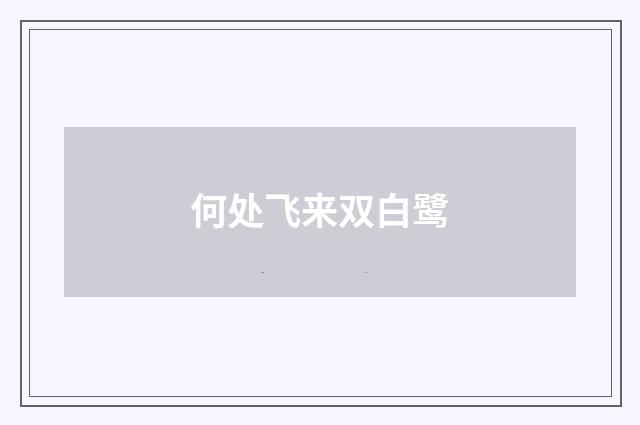 何处飞来双白鹭
