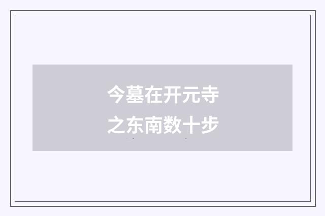 今墓在开元寺之东南数十步