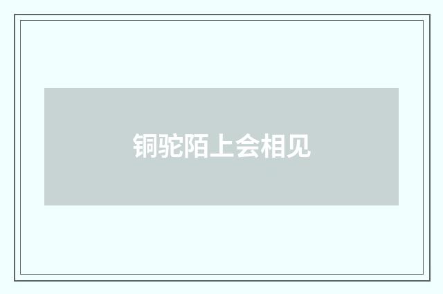 铜驼陌上会相见