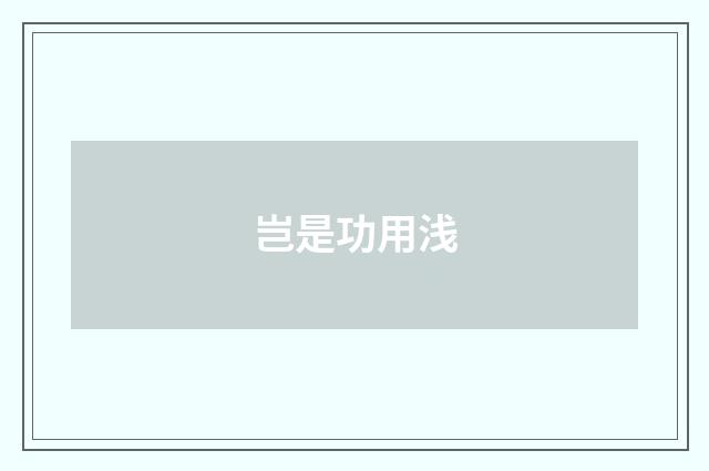 岂是功用浅