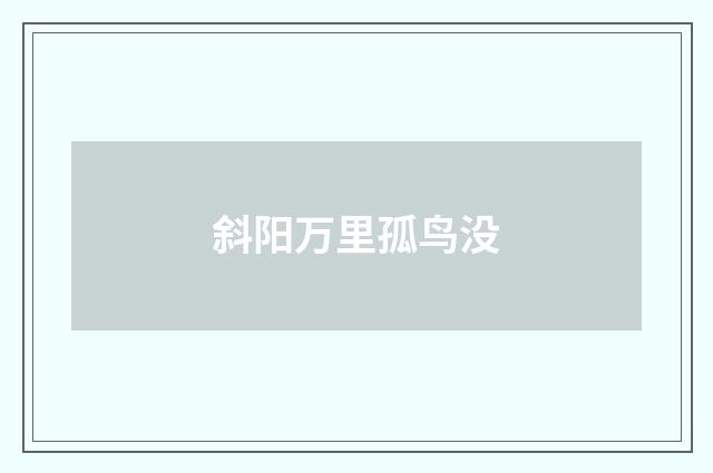 斜阳万里孤鸟没