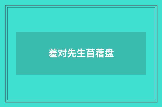 羞对先生苜蓿盘