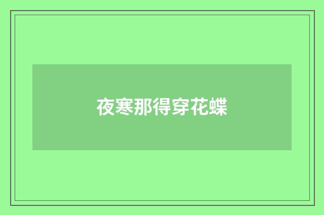 夜寒那得穿花蝶